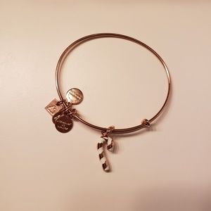 Alex and Ani rose gold candy cane bracelet NWOT